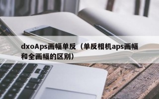 dxoAps画幅单反（单反相机aps画幅和全画幅的区别）